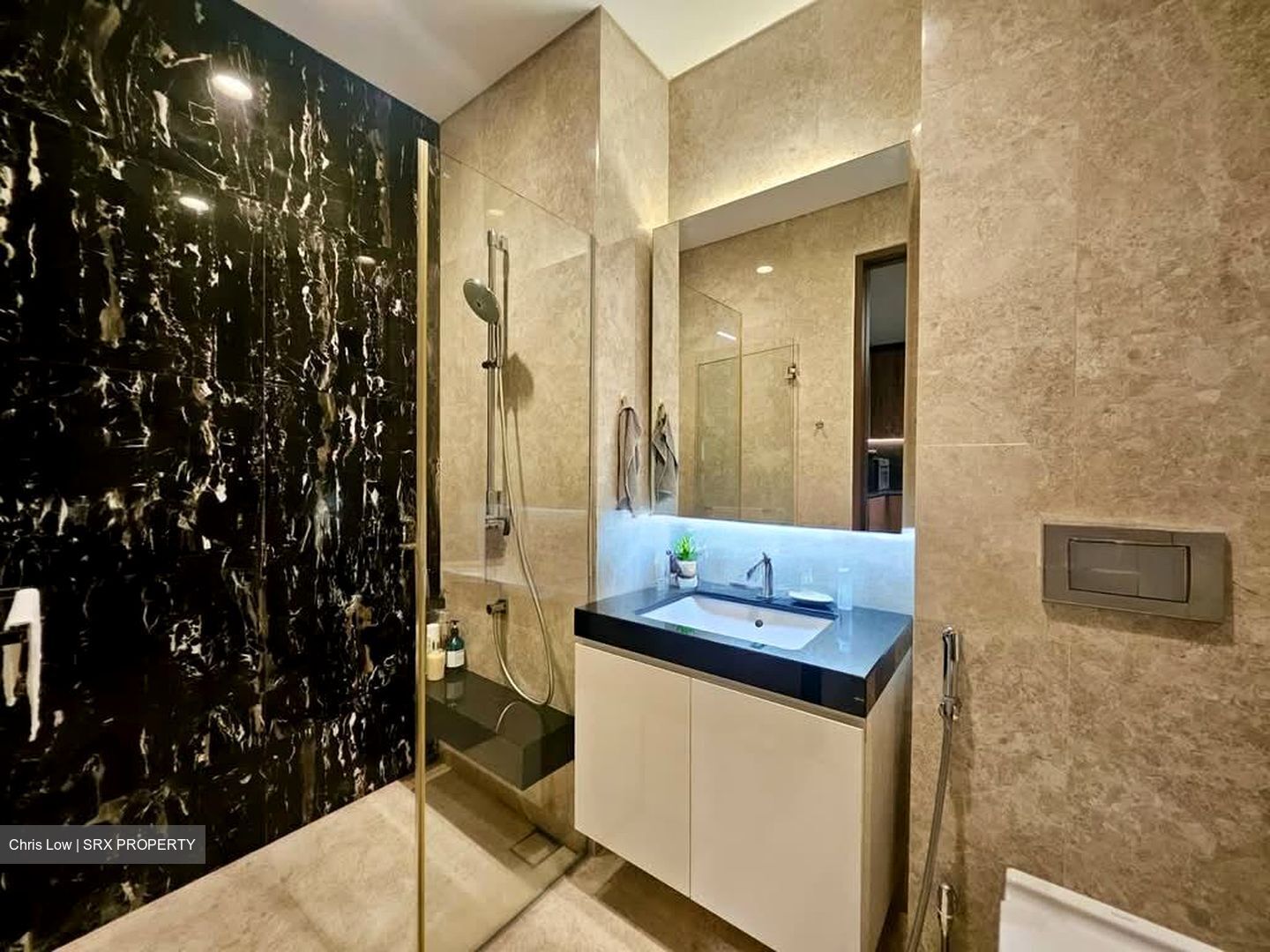 New Bridge Road (D2), Condominium #586790871